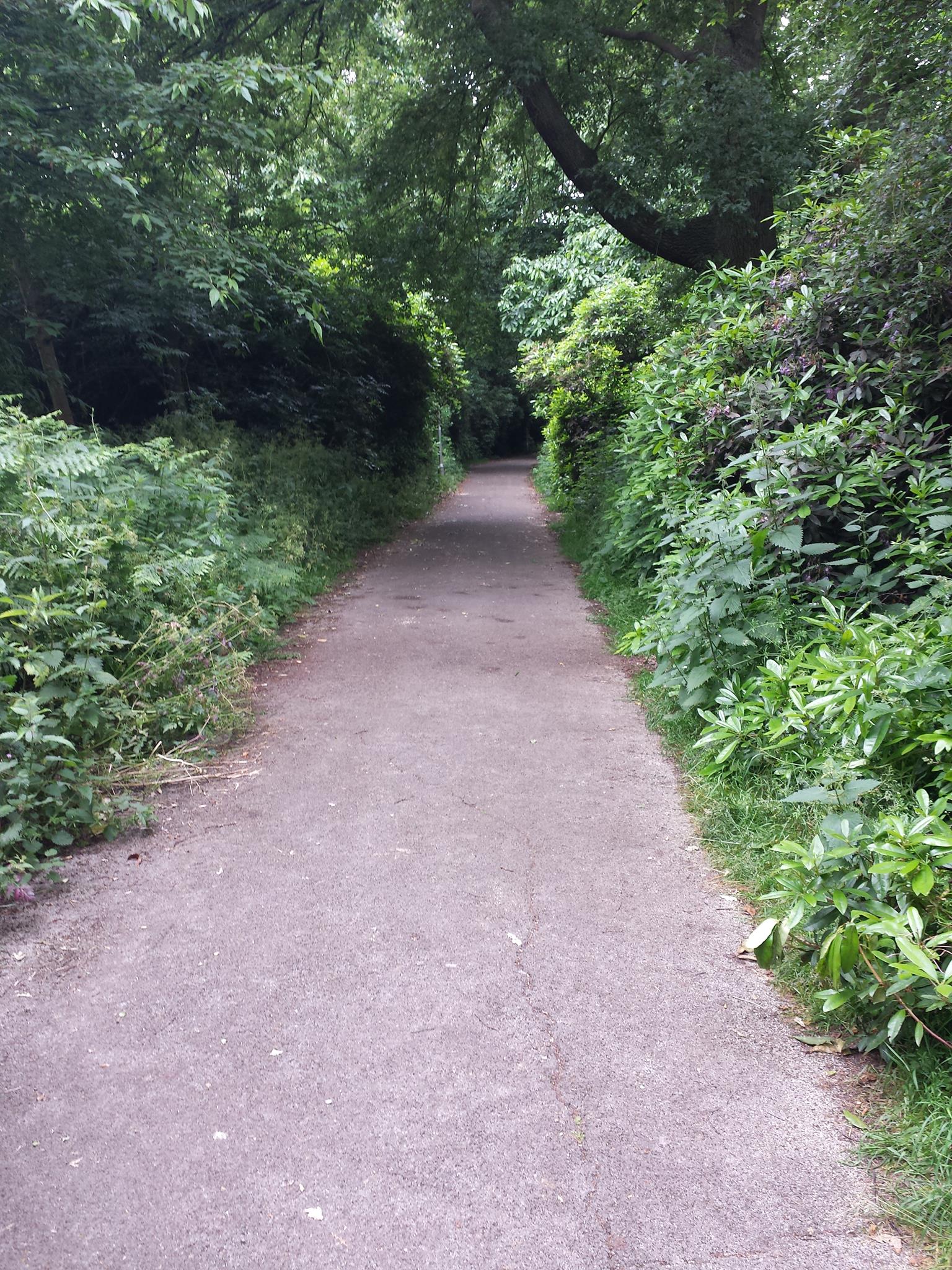 A walking path in Bracknell, Berkshire